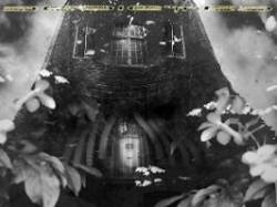 Dedicted : The Judas Window